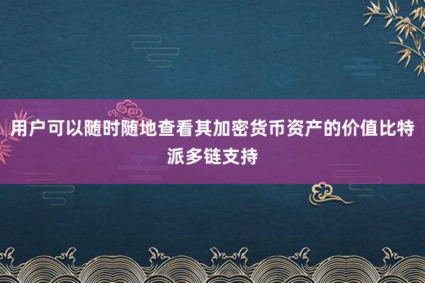 用户可以随时随地查看其加密货币资产的价值比特派多链支持