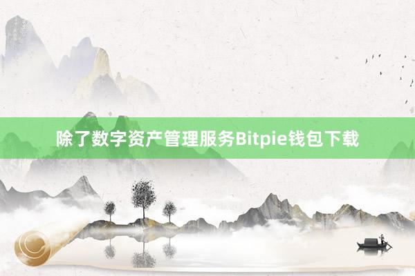 除了数字资产管理服务Bitpie钱包下载