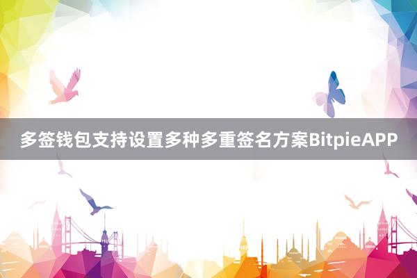 多签钱包支持设置多种多重签名方案BitpieAPP