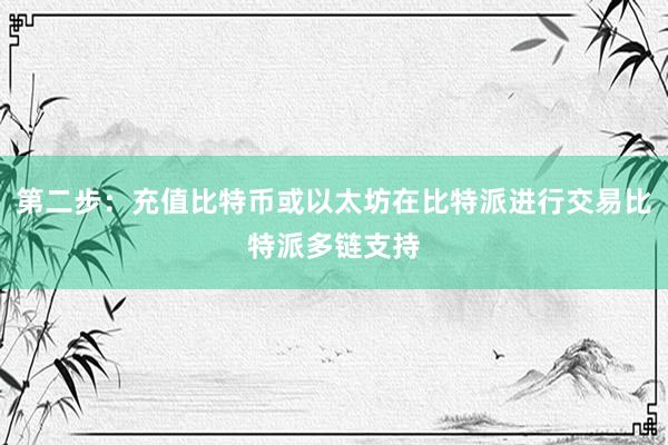 第二步：充值比特币或以太坊在比特派进行交易比特派多链支持