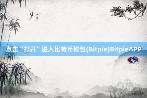 点击“打开”进入比特币钱包(Bitpie)BitpieAPP