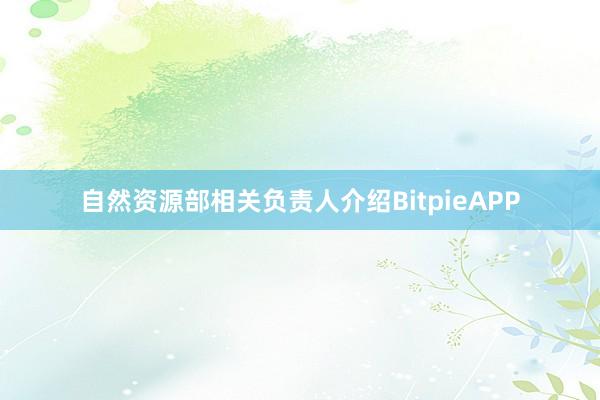 自然资源部相关负责人介绍BitpieAPP