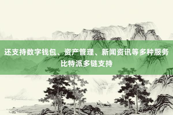 还支持数字钱包、资产管理、新闻资讯等多种服务比特派多链支持