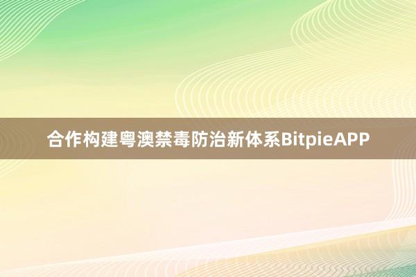 合作构建粤澳禁毒防治新体系BitpieAPP