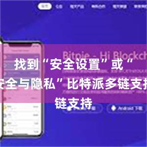 找到“安全设置”或“安全与隐私”比特派多链支持