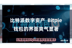 比特派数字资产  Bitpie钱包的界面爽气显著